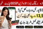 BISP 8171 Web Portal Reopens 2026 – Check Rs.13,500 Payment Online