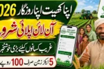 How to Apply for Apna Khet Apna Rozgar Scheme 2026 Through akar.pulse.gop.pk